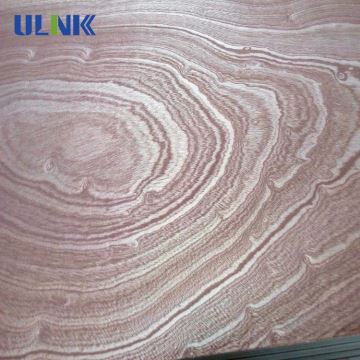 Sapele Sheet Melamine Glue Commercial Plywood