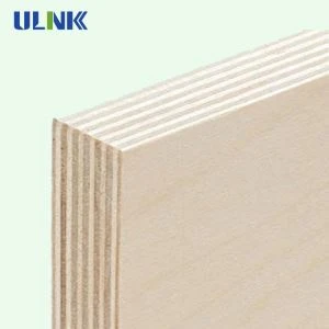 Commercial Birch Veneer Plywood Panel