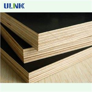 Eucalyptus Hardwood Waterproof Film Faced Plywood