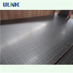 Jumbo Size Film Faced Plywood Panel