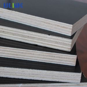Waterproof Black Film Faced Plywood For Construction