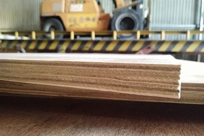 Why Dry Wood And Finish It?