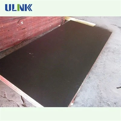 15MM Phenolic Film-faced Plywood For Concrete