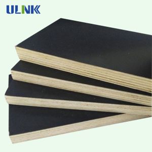 18mm Phenolic Building Plywood