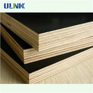 21X1250X2500 Film Coated Plywood For Buliding
