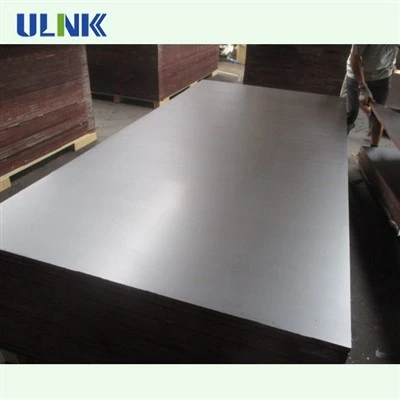 Eucalyptus Hardwood Plywood