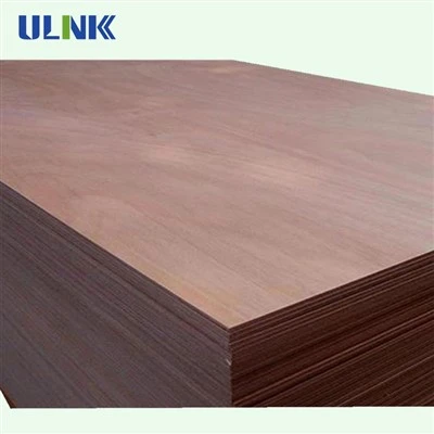 MR Commercial Plywood